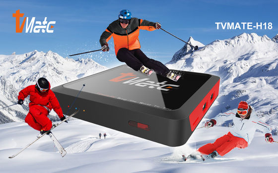 Widevine L1 Android 10.0 TV BOX Allwinner H313 Aangepaste OTT Android TV Box