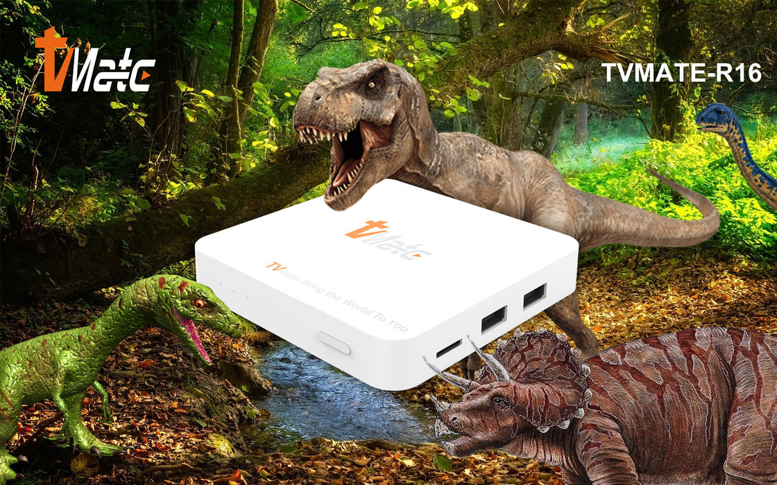 OTT Android TV Box Rockchip 322X Quad-Core Cortex-A7 tot 1,5 GHz Smart TV Box Android